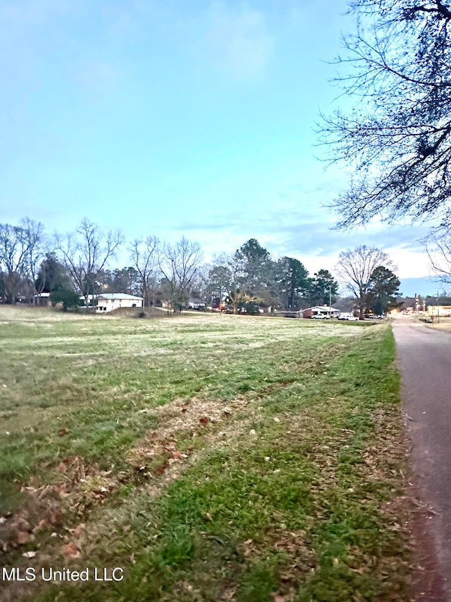 0 4th Ave SW, Magee, MS 39111 - photo 5