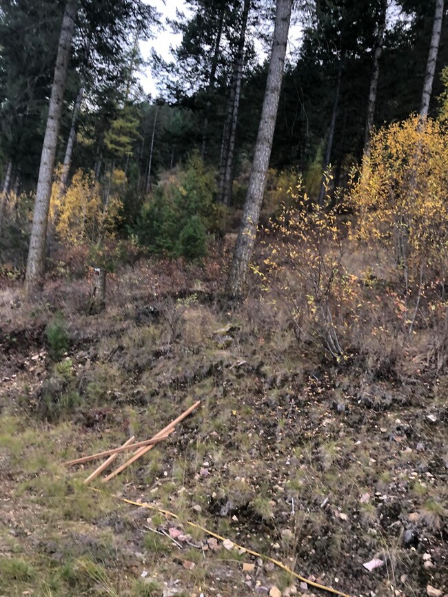 2190 Heine Rd, Chewelah, WA 99109 - photo 4