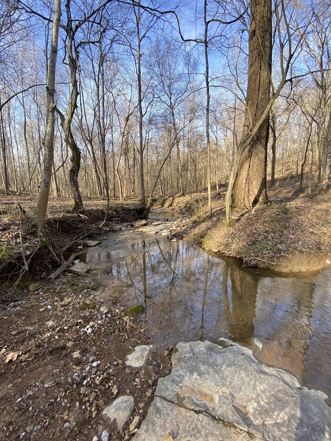 4434 Memory Ln, Adams, TN 37010 - photo 4