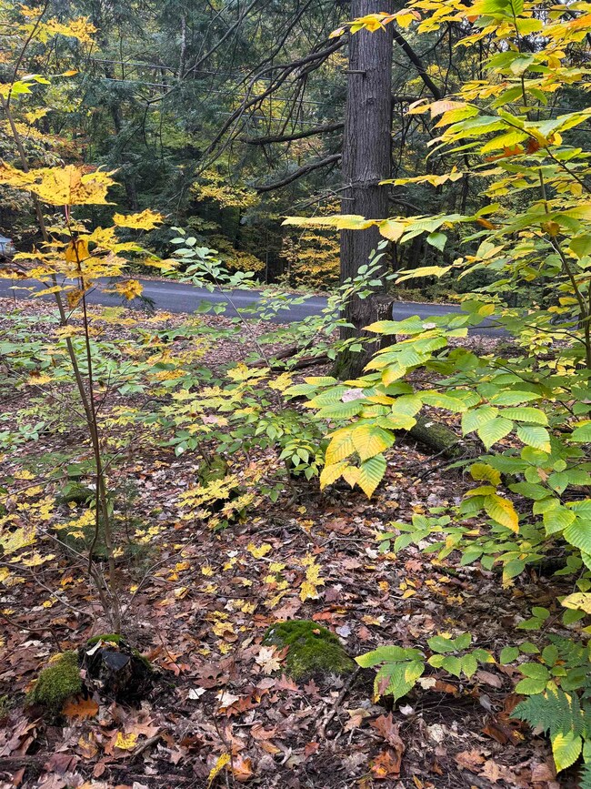 20 Sagamore Rd, Gilford, NH 03249 - photo 2