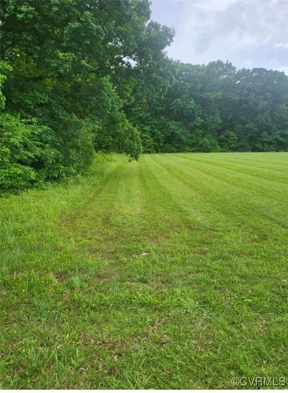 View of grassy yard with a wooded view