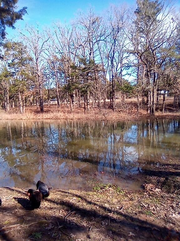 7202 Parkview Dr, Bonham, TX 75418 - photo 3