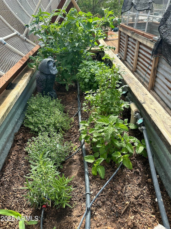 raised garden bed