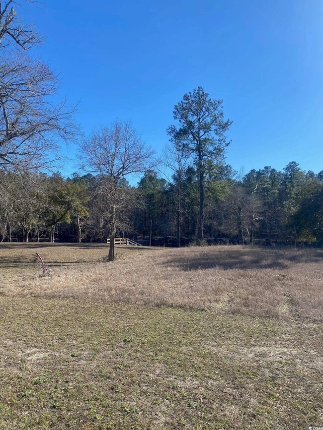 124 Lure Ct, Conway, SC 29526 - photo 3