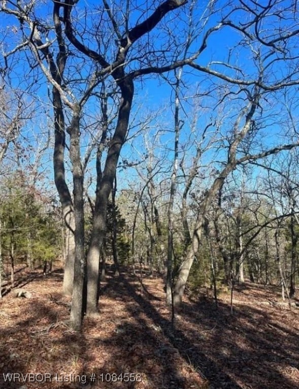 TBD Rural Latimer, Wilburton, OK 74578 - photo 6