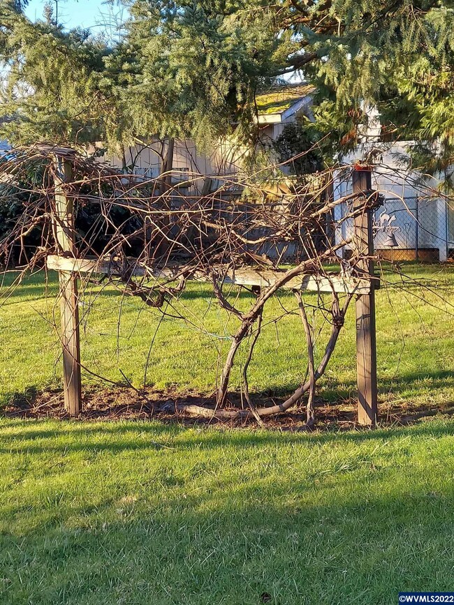 6870 Main St, Springfield, OR 97478 - photo 7