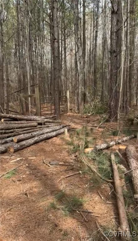 View of local wilderness