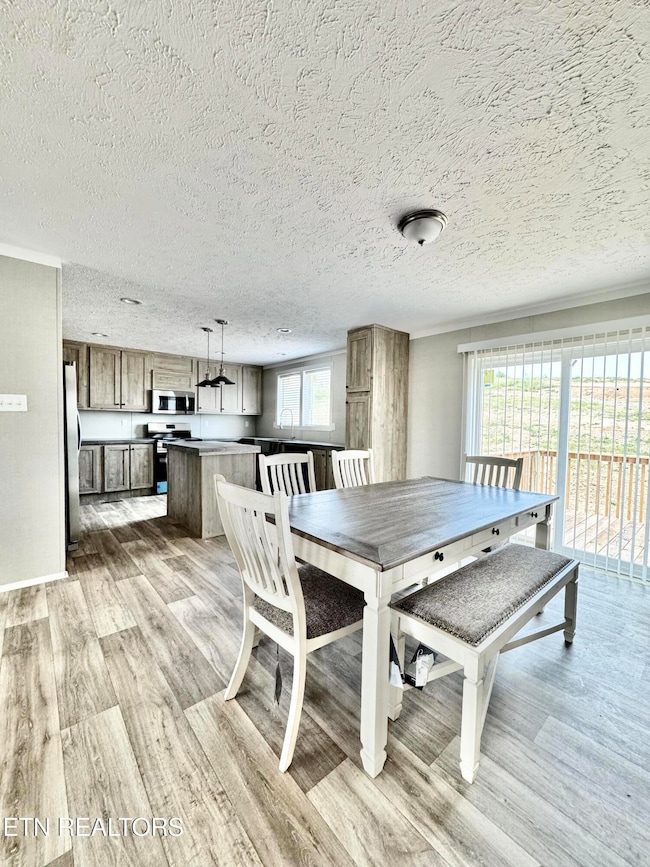 320 Perkey Way, Tazewell, TN 37879 - photo 6