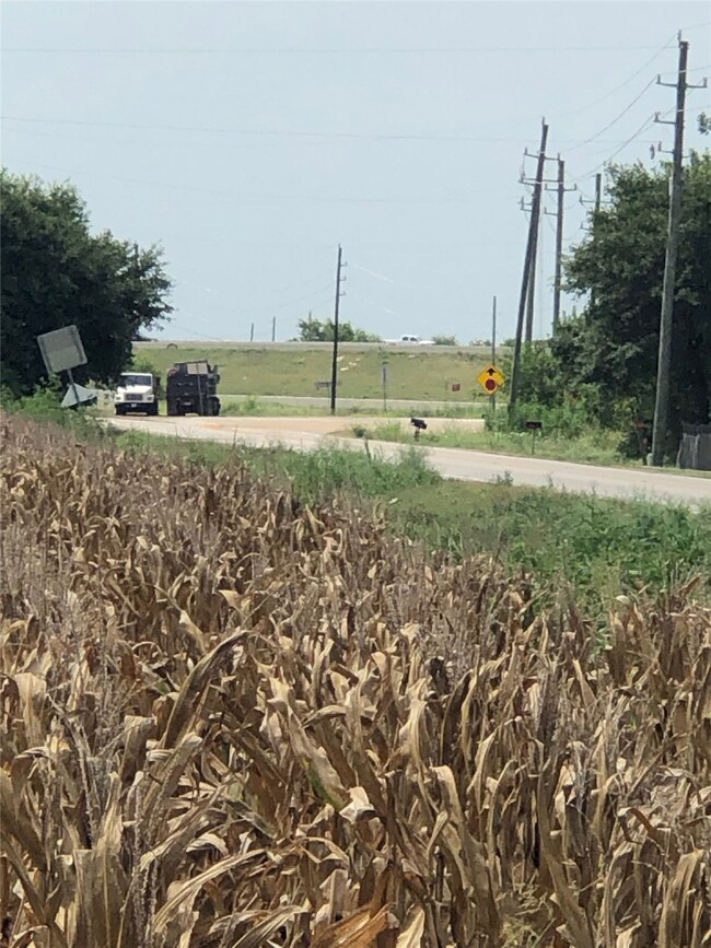 546 Fm 360 Rd, Beasley, TX 77417 - photo 5