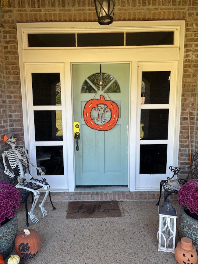 1002 Oak Grove Rd, Myrtle, MS 38650 - photo 4