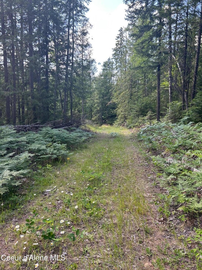 Existing driveway