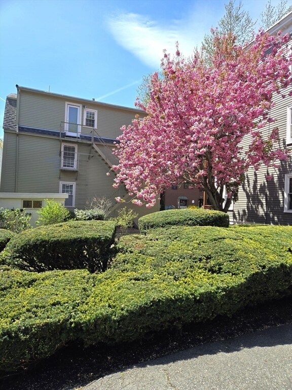 9 Kosciusko St unit 3, Salem, MA 01970 - photo 4