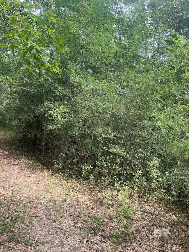 0 Mcdowell Rd, Bay Minette, AL 36507 - photo 4