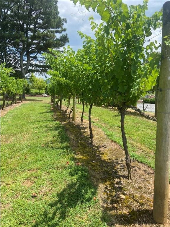 0 Oak Park Dr, Talking Rock, GA 30175 - photo 4