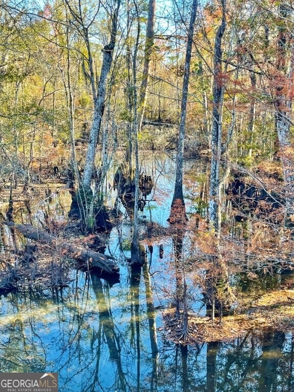 0 Highway 56 S unit 10646183, Swainsboro, GA 30401 - photo 3