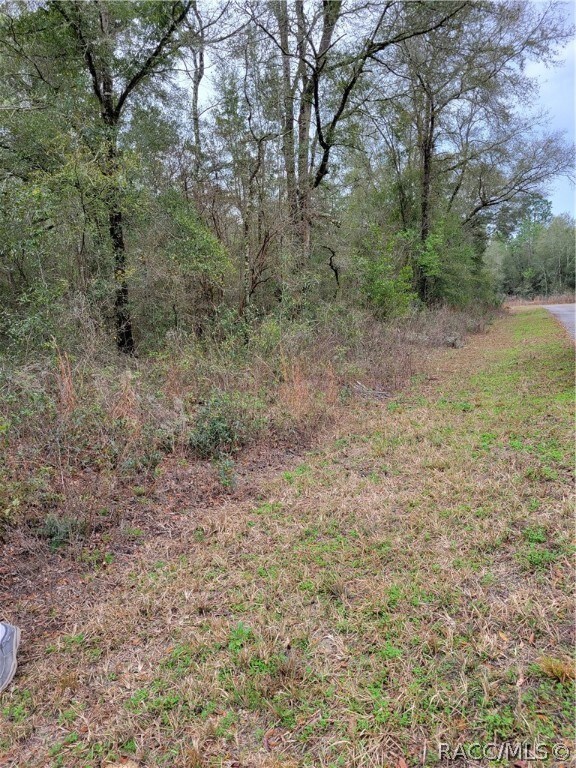 TBD SW Gering Blk 3 Lot 31 Ct, Dunnellon, FL 34432 - photo 5