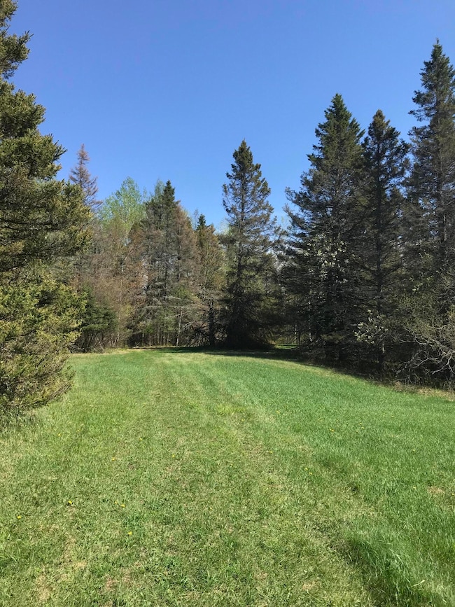 0 E Sand Ridge Rd, Stalwart, MI 49736 - photo 3