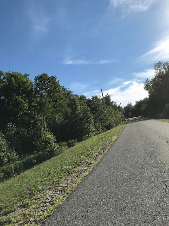 6 Brookside Dr unit 6, Grantham, NH 03753 - photo 4