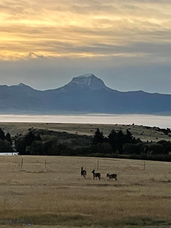 333 Shining Mountains Loop Rd, Ennis, MT 59729 - photo 3