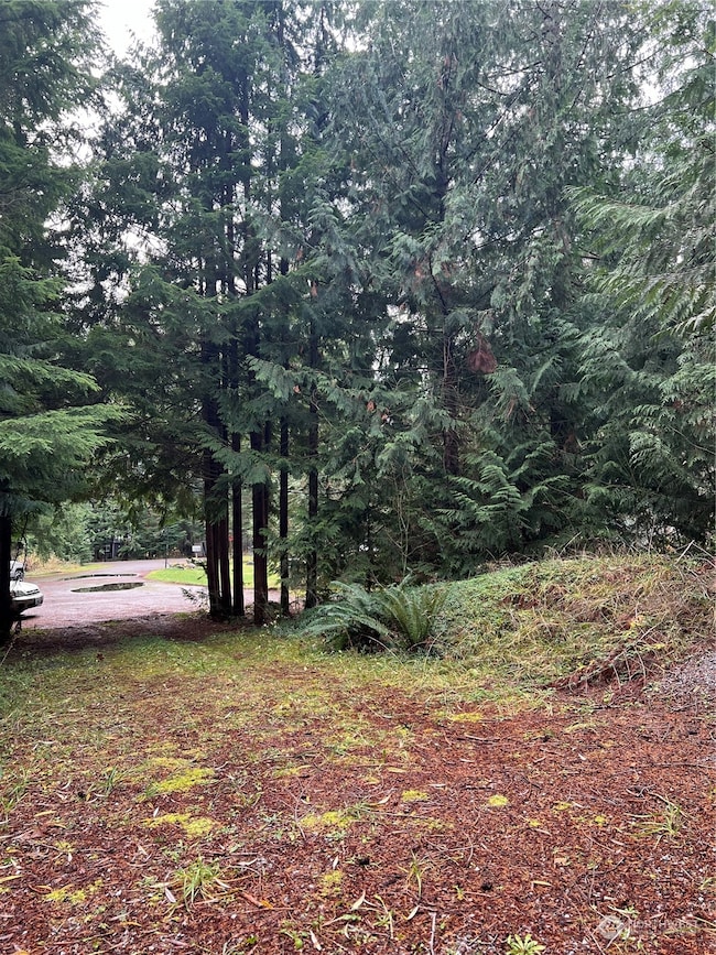 901 Ruby Valley Ct, Maple Falls, WA 98266 - photo 6