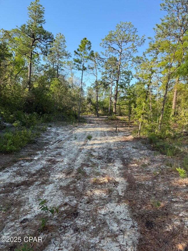 516 Goshun Creek Rd, Chipley, FL 32428 - photo 7