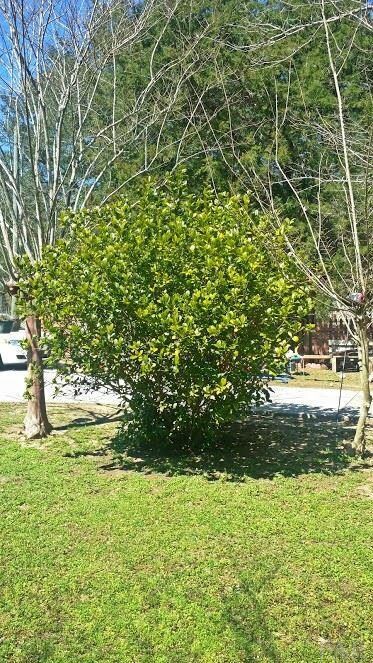 8999 N Eight Mile Creek Rd, Pensacola, FL 32534 - photo 4