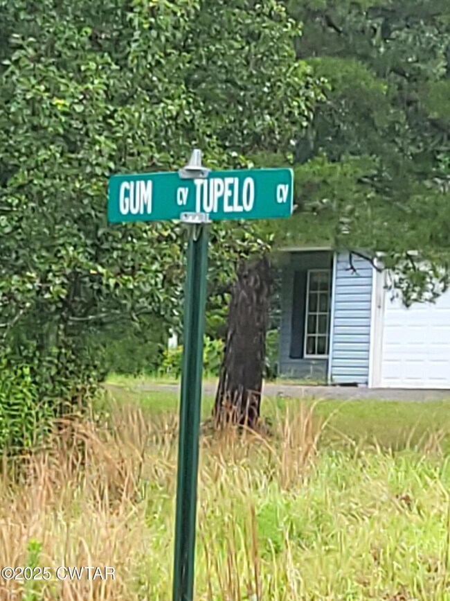 383 Tupelo Cove, Saulsbury, TN 38067 - photo 4