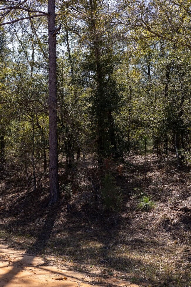 0 Holly Springs Ave unit 25490057, Alford, FL 32420 - photo 5