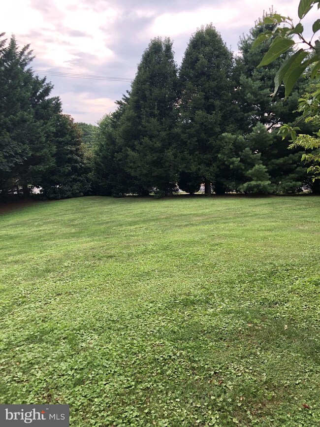 37591 Cecilia Ln, Purcellville, VA 20132 - photo 4