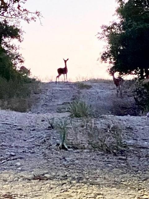 3700 Cleburne Hwy, Weatherford, TX 76087 - photo 6