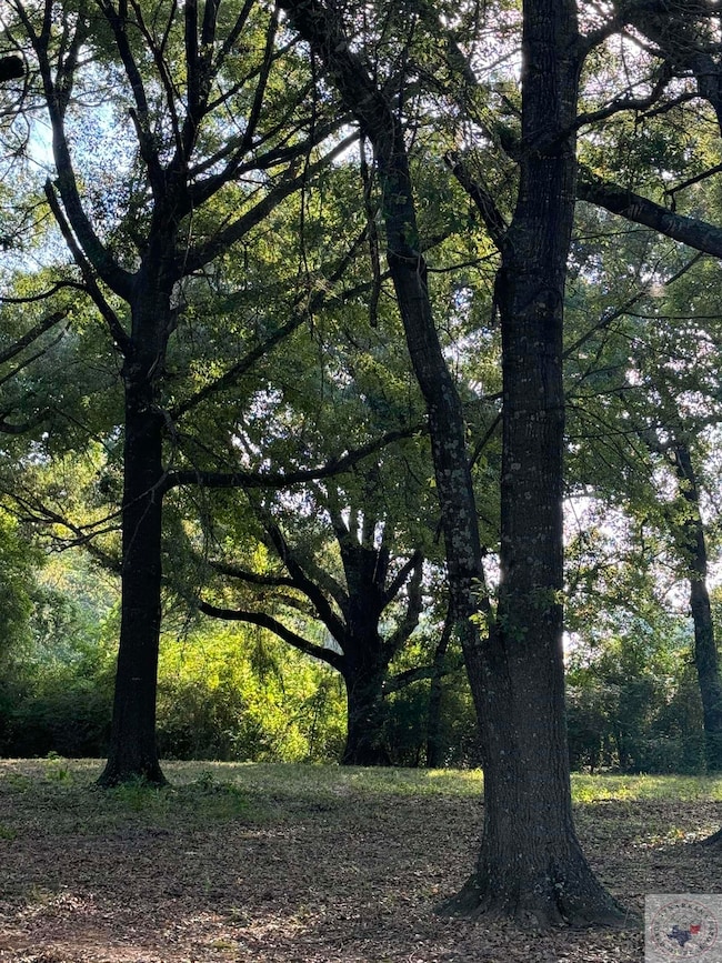 1.4 Acres Quail Creek Cir, Fouke, AR 71837 - photo 6