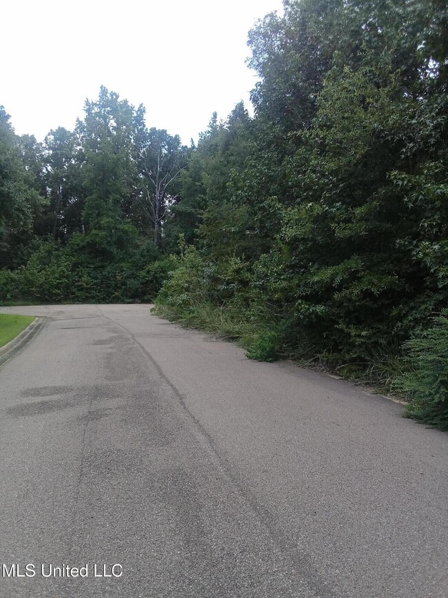 Rowan Oak - Lot 33 - Absalom Cv