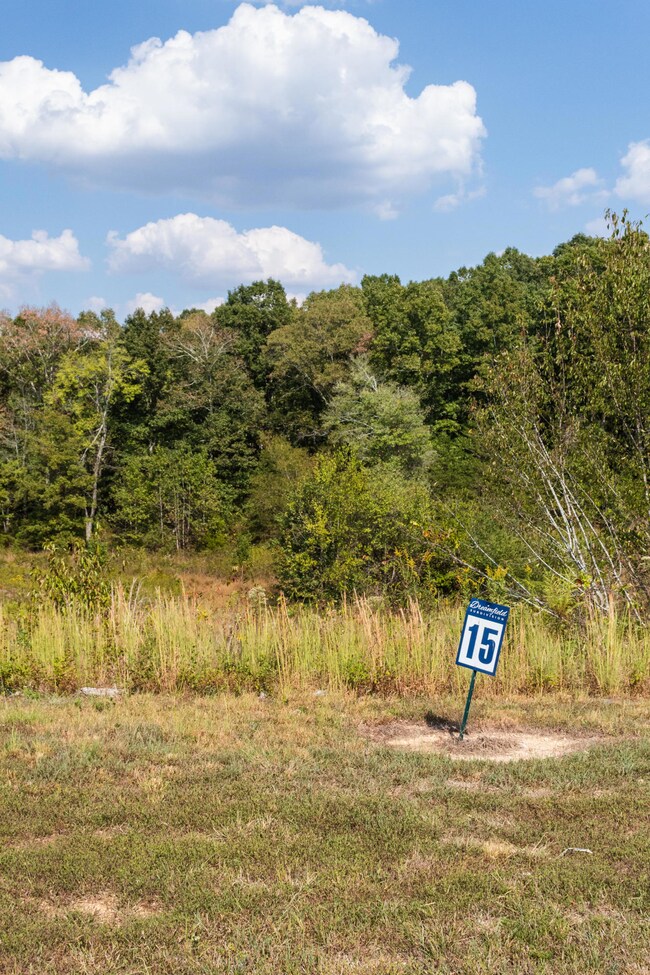 Lot 15-2