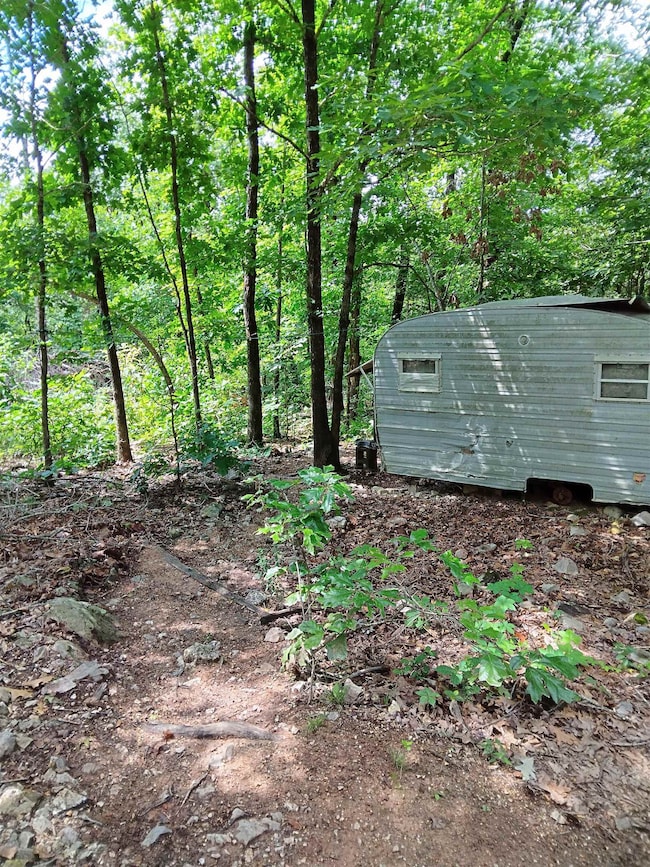 8329 9 Mile Ridge Rd, Hardy, AR 72542 - photo 6