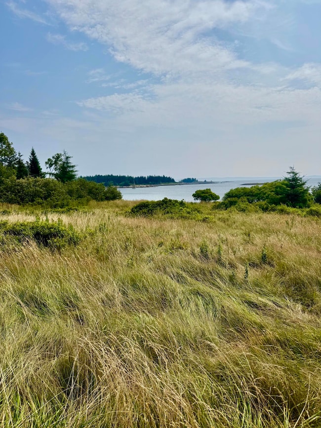 Lot #5 George Wright Rd, Vinalhaven, ME 04863 - photo 4