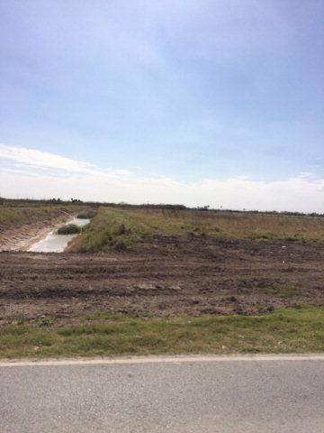 NN Minnesota Rd, Donna, TX 78537 - photo 3