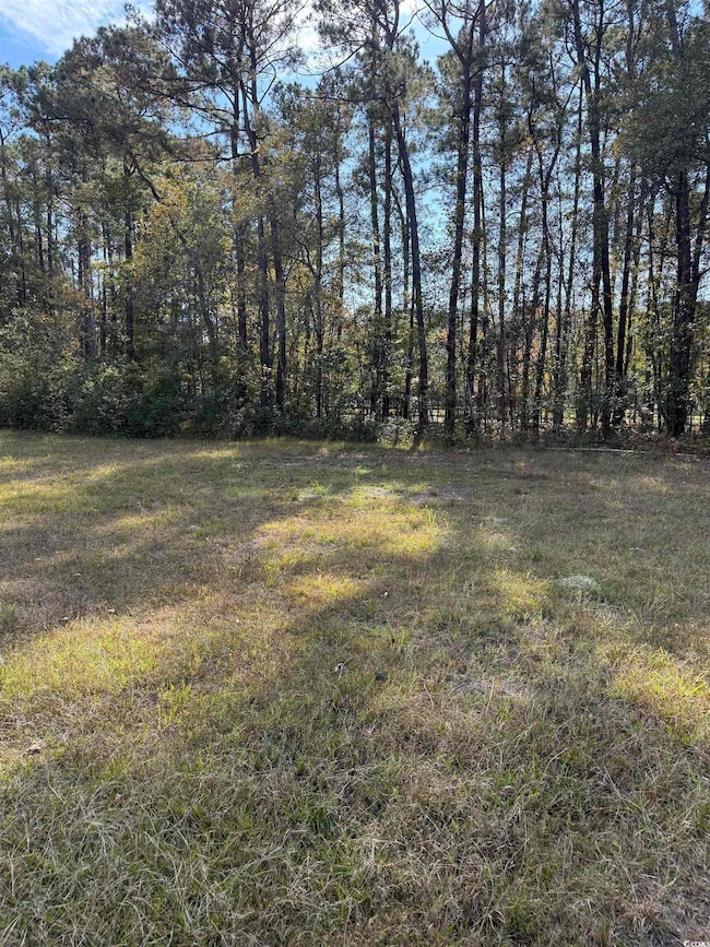 867 Denali Dr, Conway, SC 29526 - photo 4