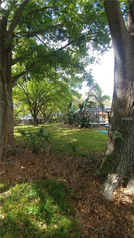 8220 W Crenshaw St, Tampa, FL 33615 - photo 5