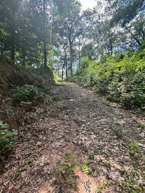 282 Tuckasee-King Rd, Clyo, GA 31303 - photo 6