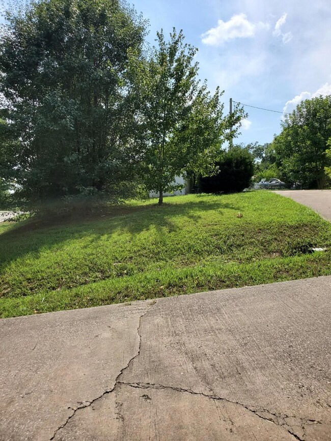 9 Nickelton Ln, Kimberling City, MO 65686 - photo 3