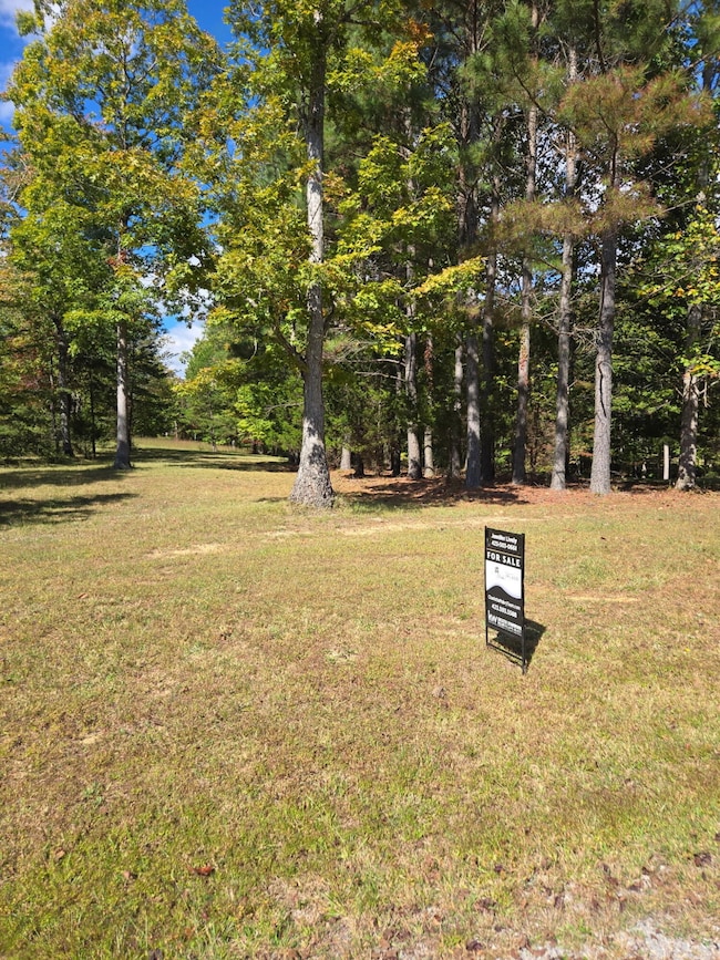 0 Two Lake Trail unit RTC3048910, Dunlap, TN 37327 - photo 4