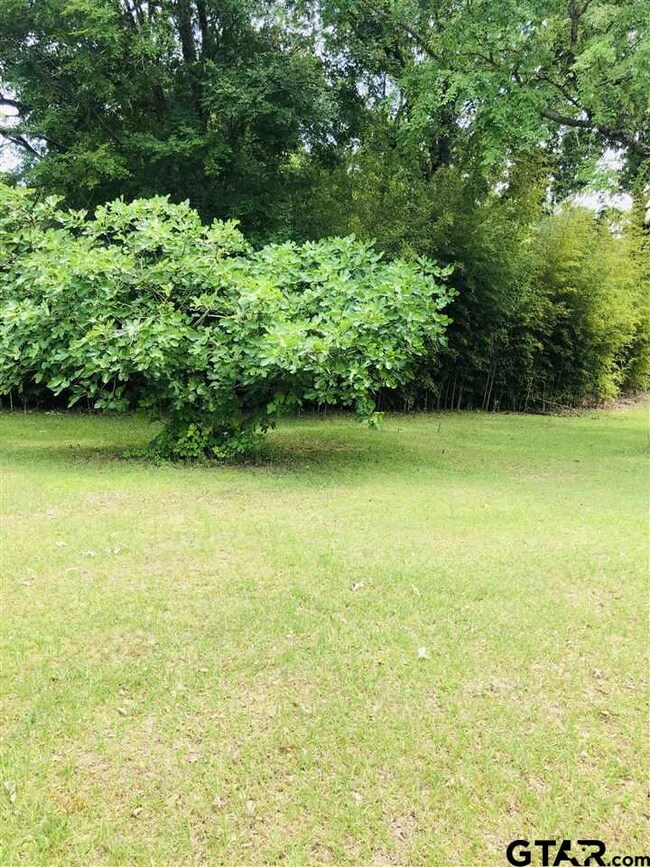 15595 Vantage View Dr, Tyler, TX 75707 - photo 7