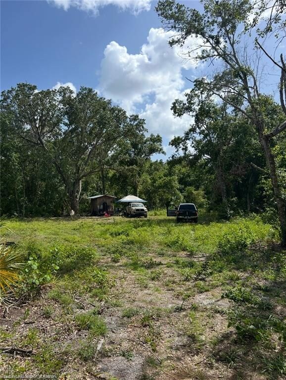 1786 Peace River Woods, Wauchula, FL 33873 - photo 7