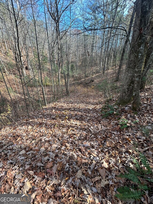 0 Amaryllis Ln unit 10647717, Tiger, GA 30576 - photo 5