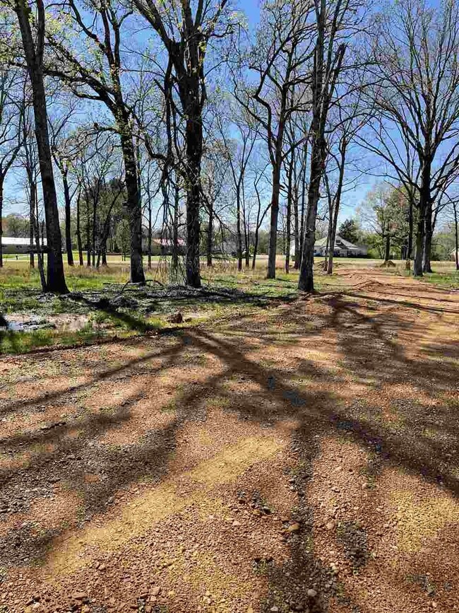 7130 Hwy 22 South Hwy, Michie, TN 38357 - photo 5