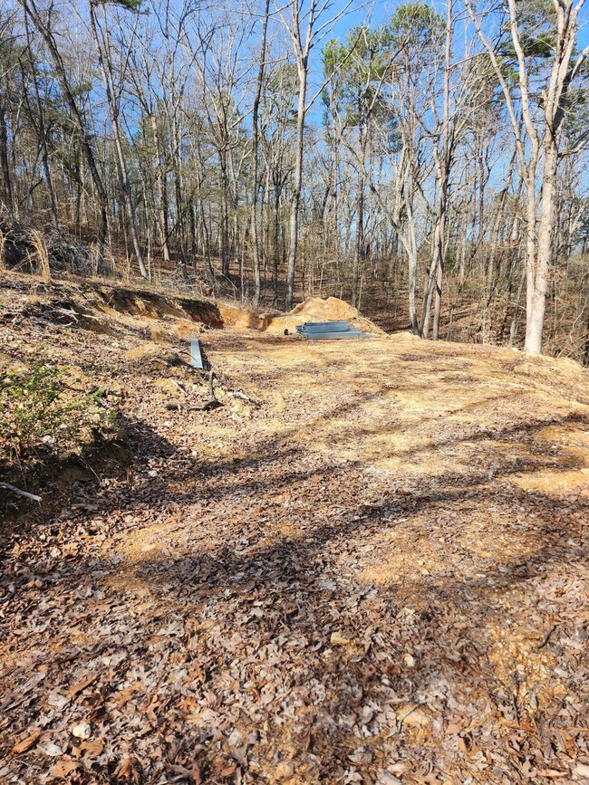 Cleared Lot
