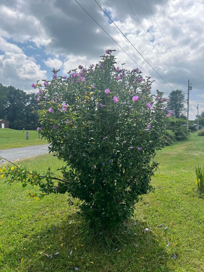 132 Eric Dr unit 132, Summersville, WV 26651 - photo 6