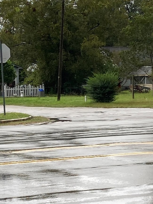 200 W Boyce St, Manning, SC 29102 - photo 3