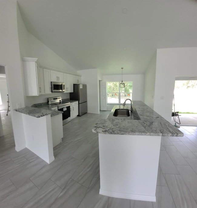 14429 SE 36th Ave, Summerfield, FL 34491 - photo 3