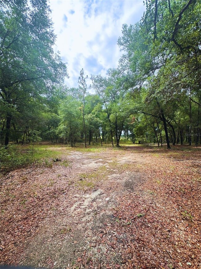 TBD SW 69th Place, Dunnellon, FL 34431 - photo 4